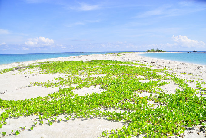 【一只熊的冒险】薄荷色夏日梦，马来西亚沙巴亚庇仙本那历险记——敦沙卡兰海洋公园（完）
