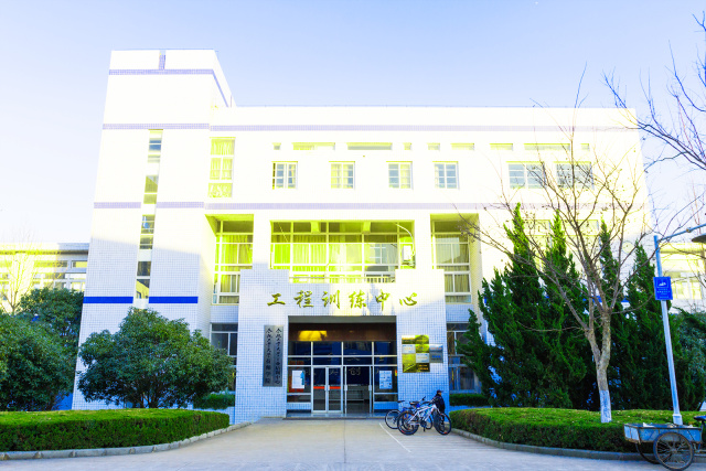 灯的柔美,花的柔美