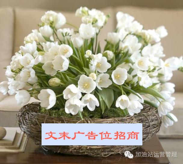 4.14国际原油行情走势分析,原油4月17日分析