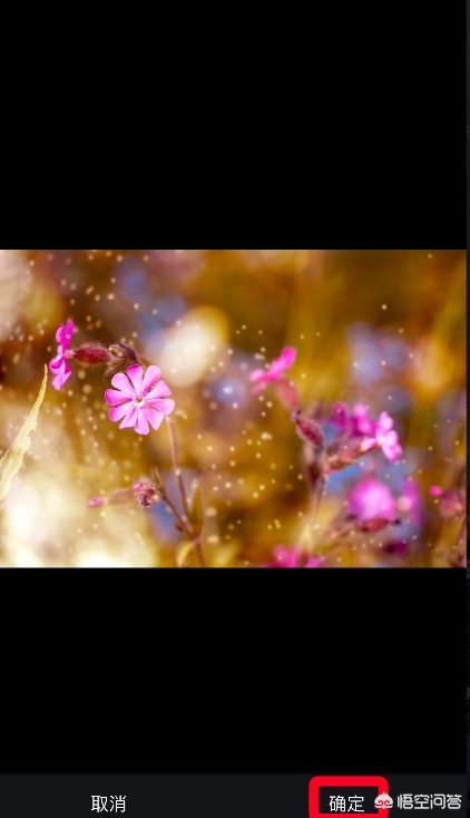 给照片加图框的app,安卓手机怎么给照片加边框