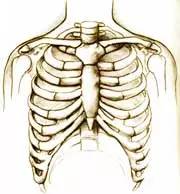 体检报告在线解读及分析,最全体检报告解读
