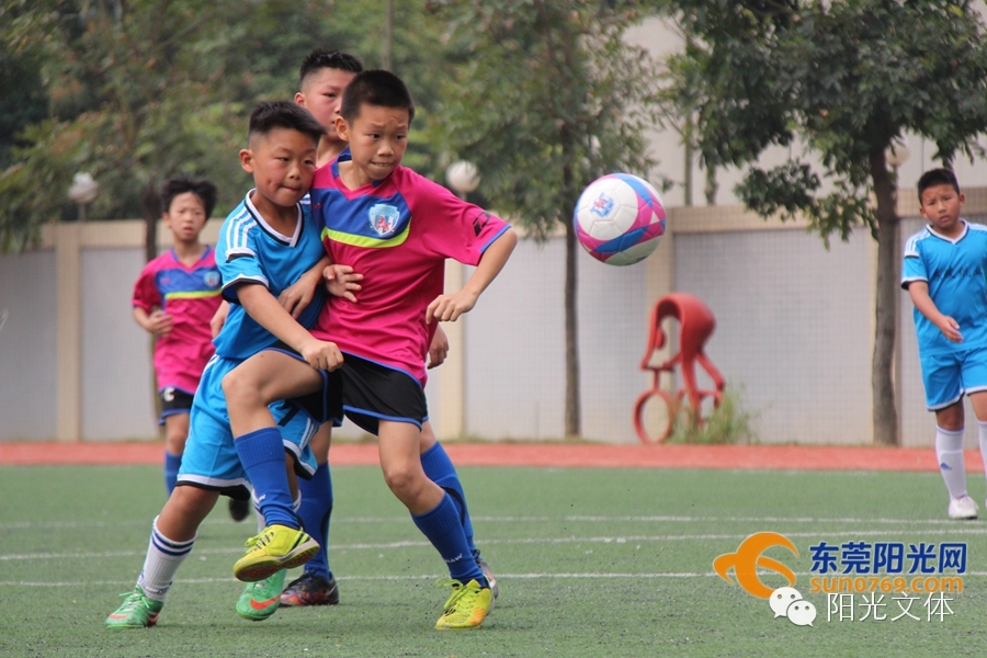 他们不只是梦想家东莞火麒麟成立一周年求突破