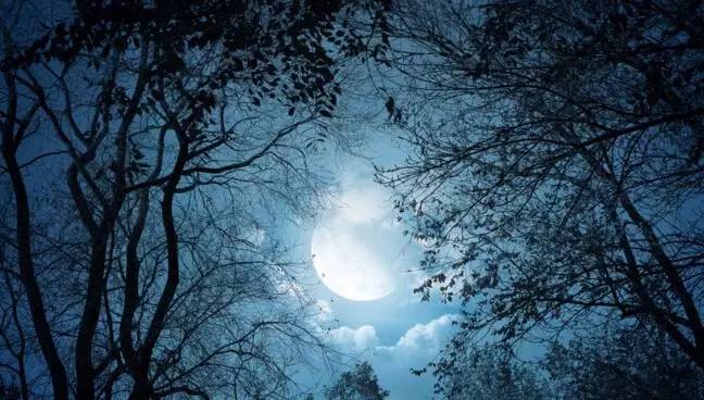 吐槽秀惊悚！现实中的半夜遇到鬼敲门，这次楼主果断搬了家