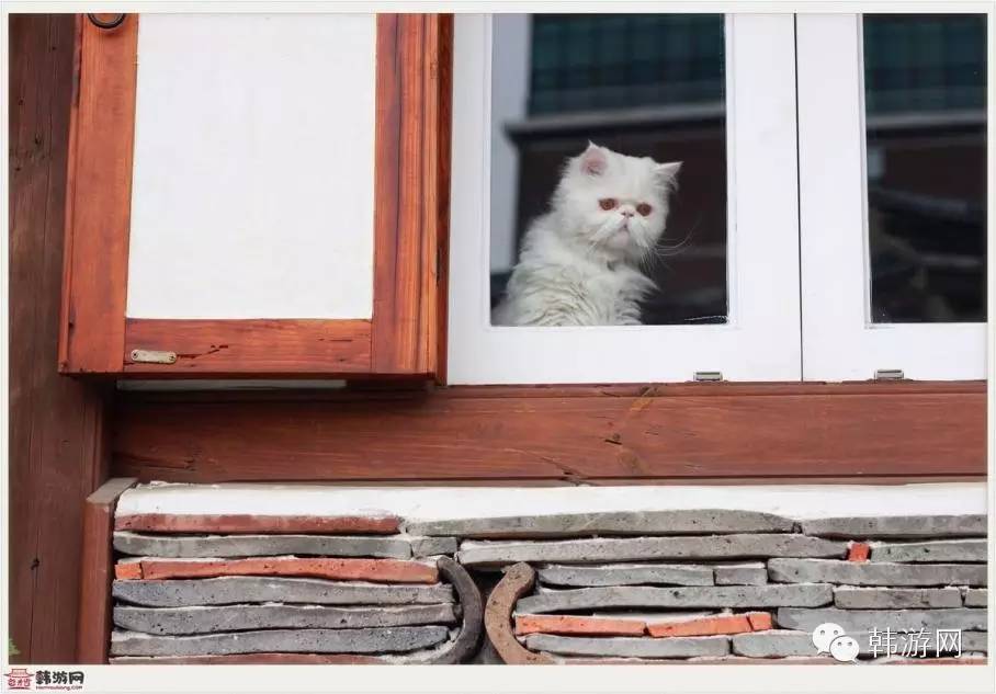 从首尔出发,一个人的韩国首尔旅行