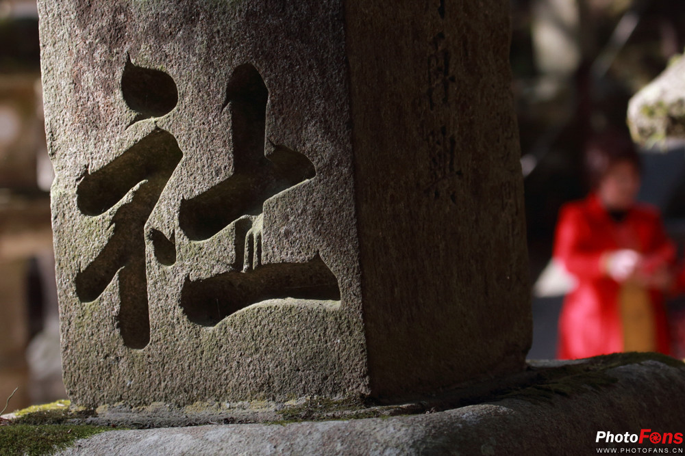 春之物语完整视频,《春之物语》