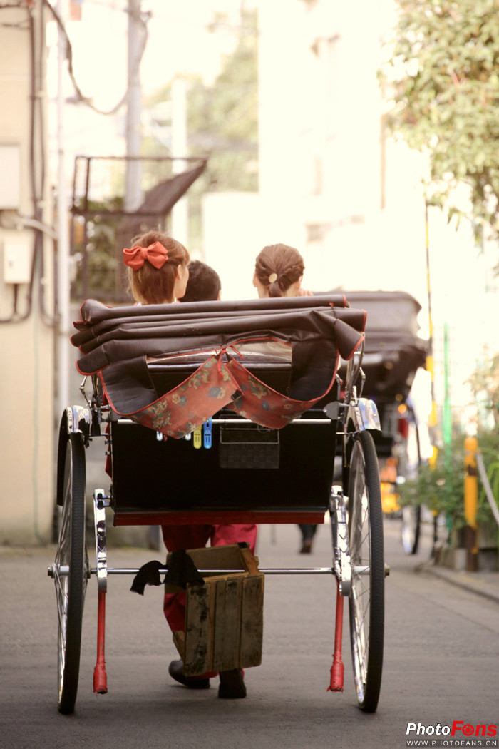 春之物语完整视频,《春之物语》