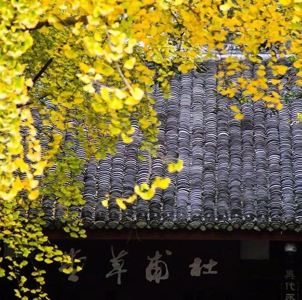 四川青少年作家协会暑期文学集训,四川省青少年作家协会素质教育