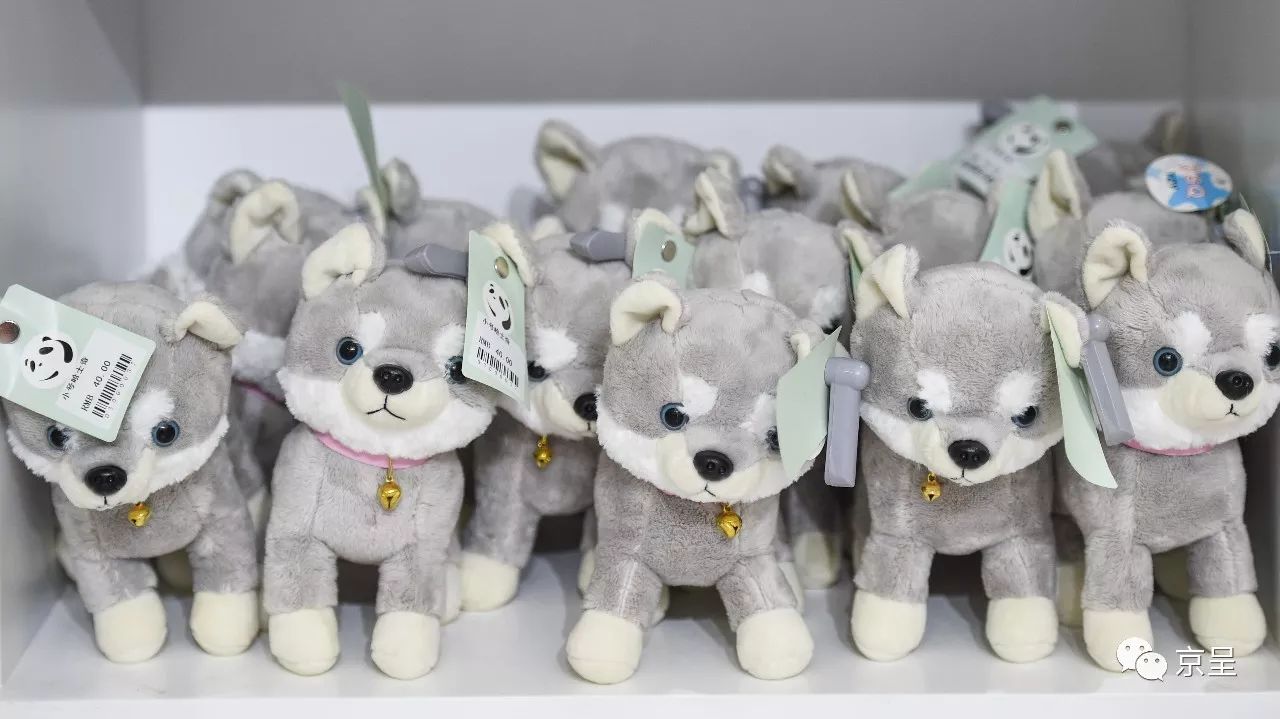 鹈鹕树懒食蚁兽？北京这家非主流玩偶店教你认认新萌物