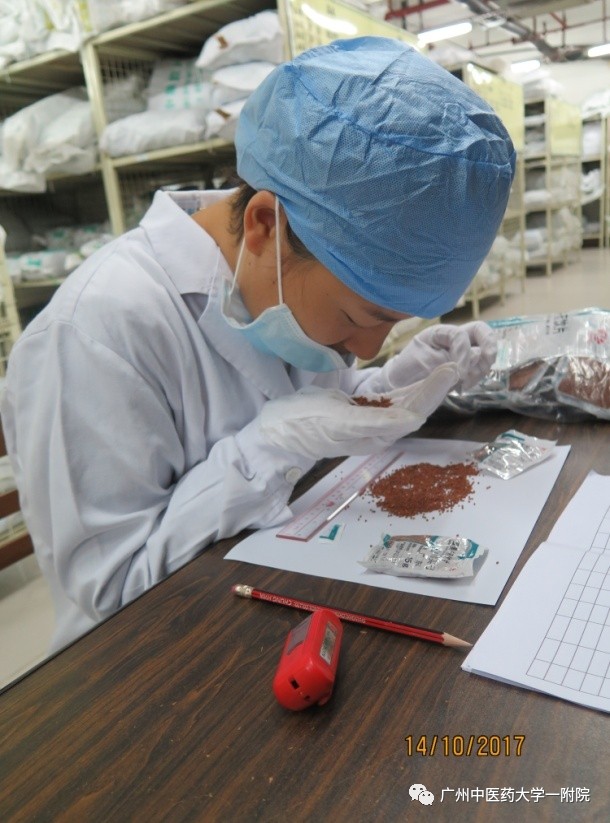 「药我说」广州中医药大学一附院中药饮片质量缘何这么好?!看看你便知