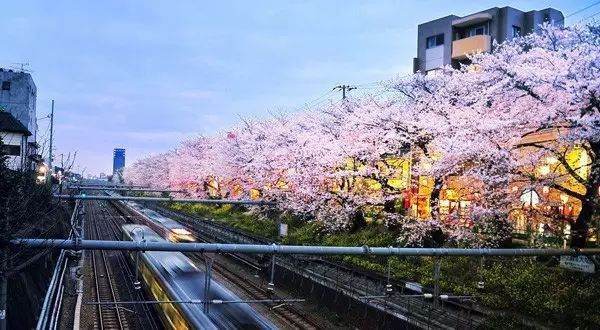 恋与制作人能玩到头吗,恋与制作人相伴时光