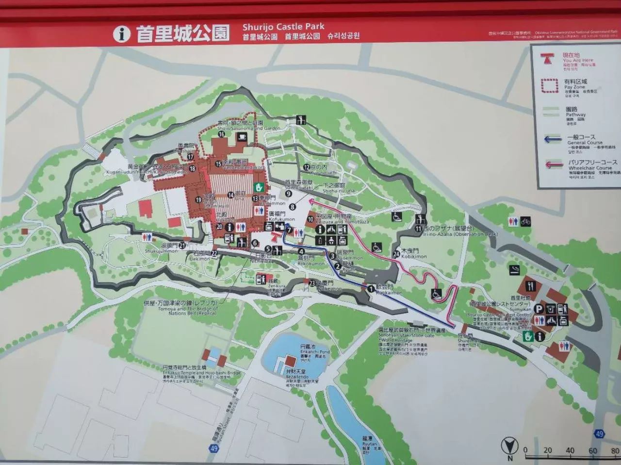 冲绳一日游有必要去吗,冲绳之旅最后一天