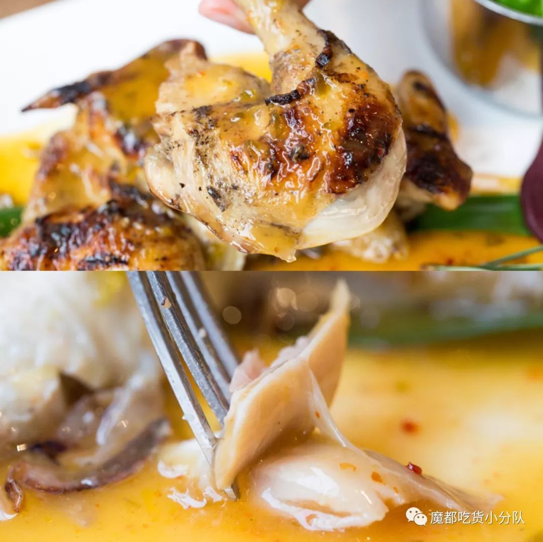 端不动的鱼缸鸡尾酒，边嚼边喝