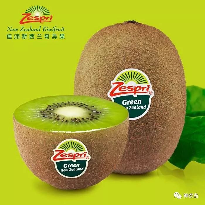 新西兰佳沛奇异果品牌打造,佳沛奇异果新西兰和意大利哪个好