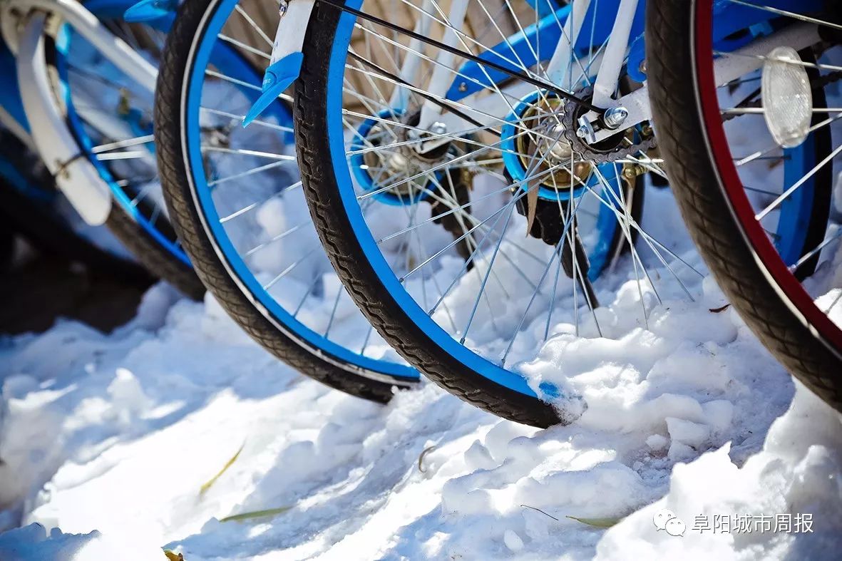 一场雪让风景美如画,一场雪景给城市带来美丽的风景