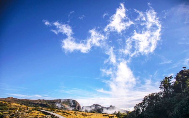 春城秀红嘴鸥图片,春城冬日美景