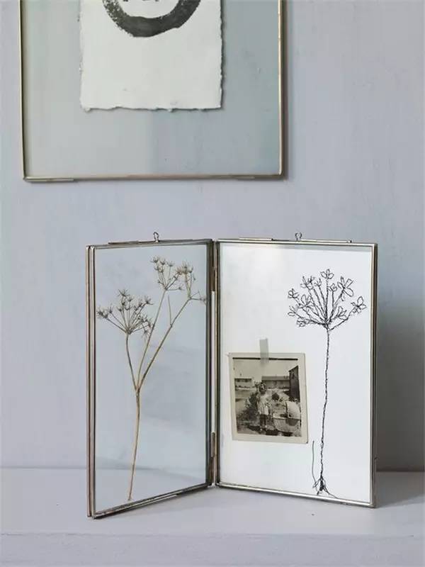 自己在家怎么做植物标本 (秋天如何做植物标本)