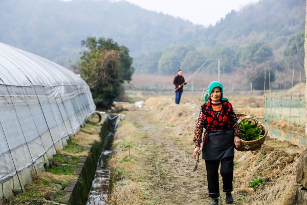 只有一亩地的农场,草莓种植基地采摘园