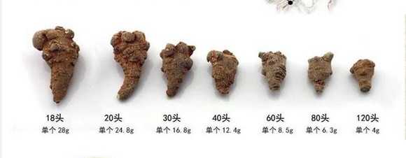 在网上买三七怎么选,在网上买三七注意事项