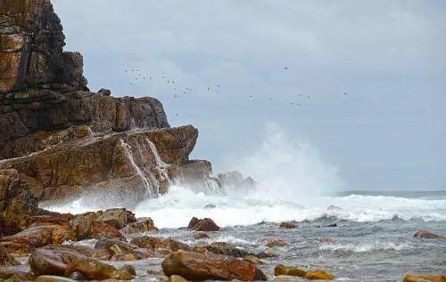 南非线路攻略｜与鲨共舞、沙漠开花、隔海观鲸，你了解非洲吗？