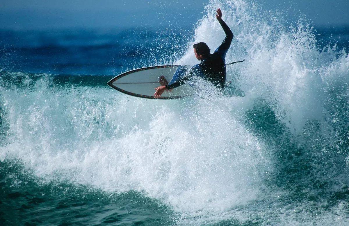 南非线路攻略｜与鲨共舞、沙漠开花、隔海观鲸，你了解非洲吗？