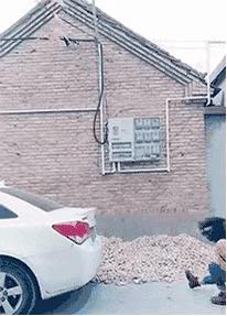 呦呦切克闹英文版,呦呦切克闹原创