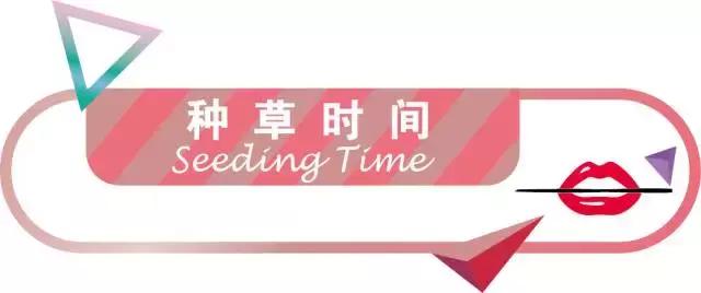 红色挑心系列美甲,明星同款纯色美甲推荐