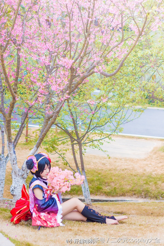 新的一年你是选择看樱花，还是超级可爱的妮可呢？