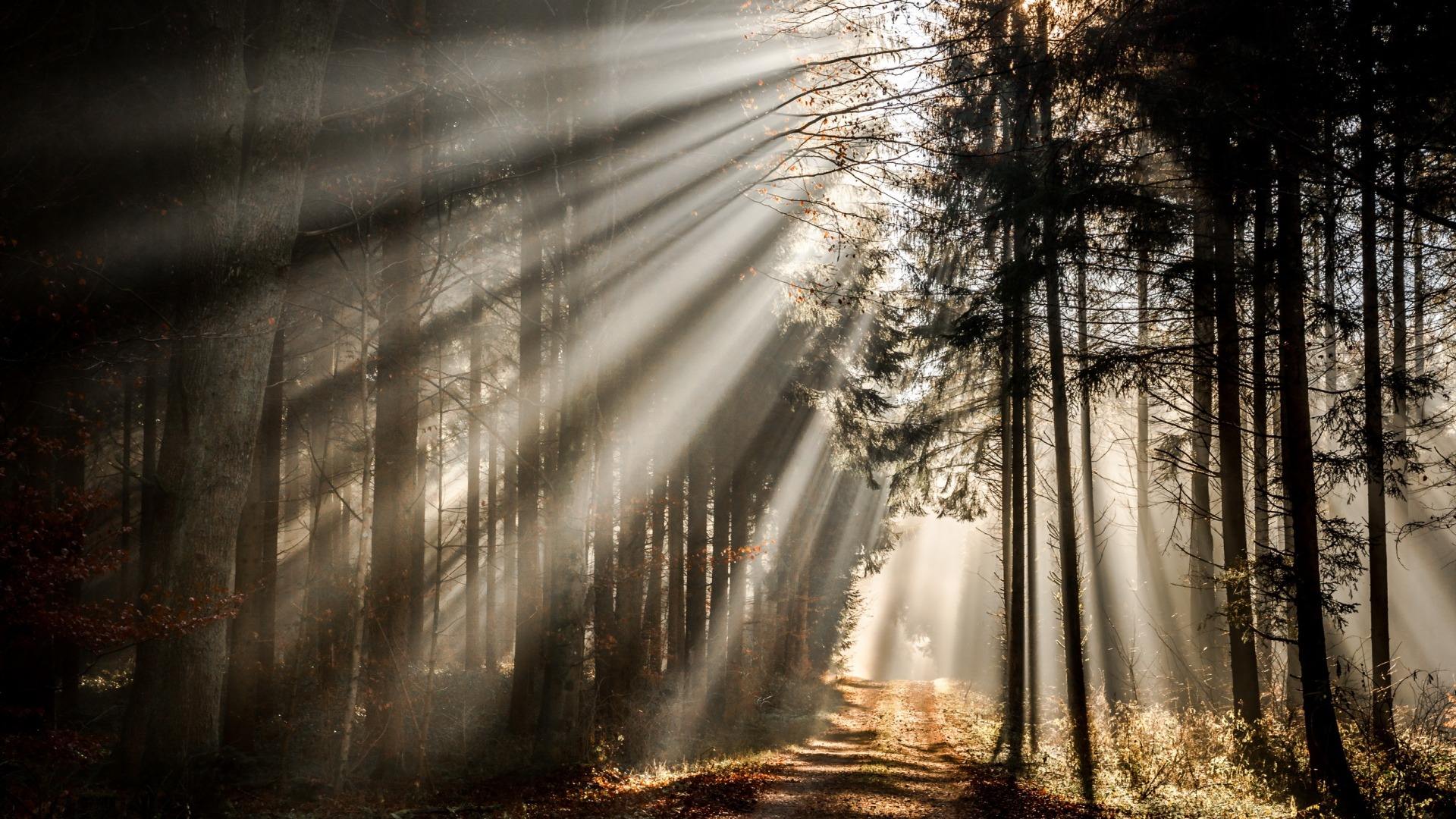 如何战胜自己内心的恐惧与焦虑,怎样才能战胜心理恐惧