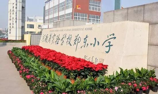 郑州各区重点小学排名,郑州市各区县重点小学