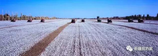 新疆新型城市,新疆刚建立的南疆城市