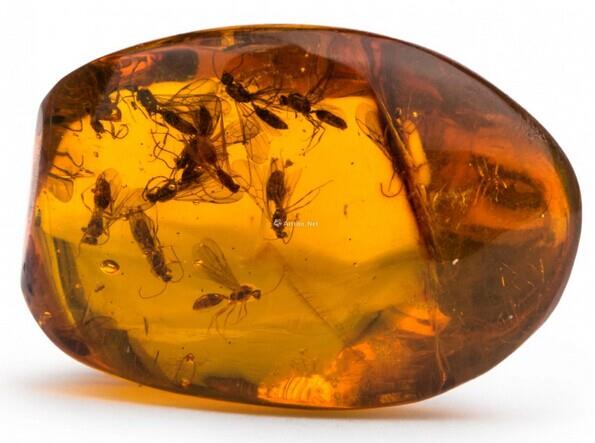 干货50个珠宝常识讲解,有图有真相无套路