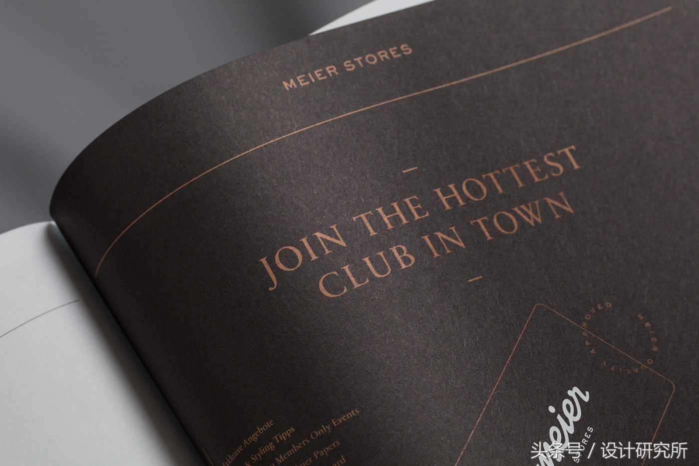 国外TheMeierPaper报纸设计欣赏