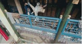 前任3郑恺撩妹被女友发现,郑恺不愧是前任3的搞笑担当