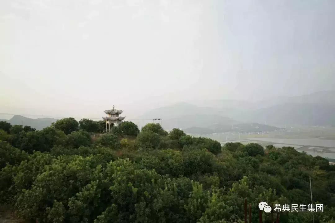 红颜醉杨梅酒,红颜醉杨梅