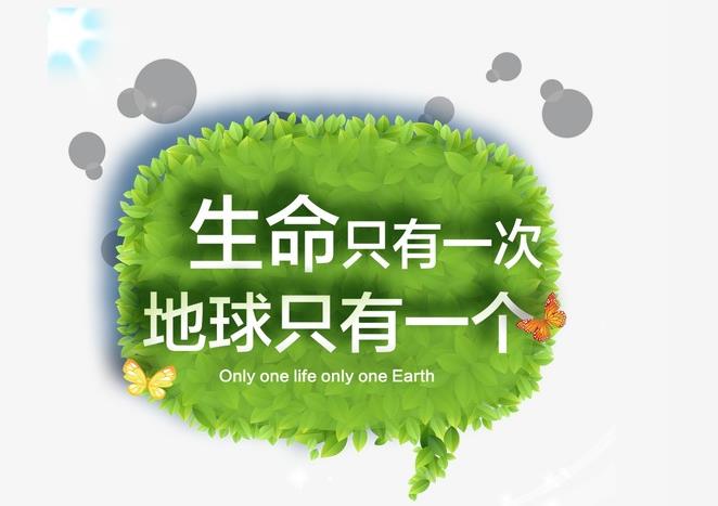 生命是什么最经典的回答,真正的生命是什么样的