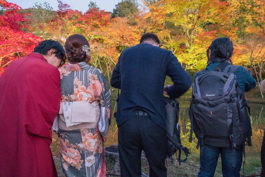 狗哥的热评,狗哥热评