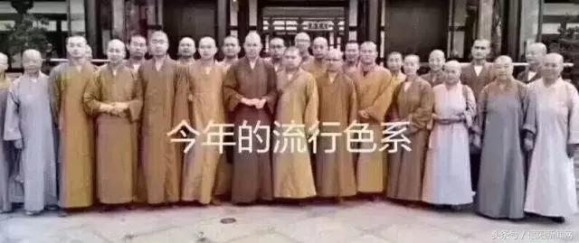 拒绝佛系躺平,拒绝佛系