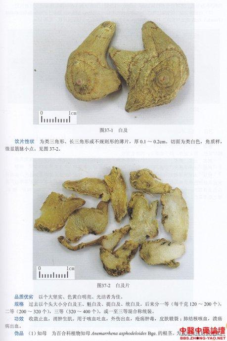 造假最多的十个中药材,名贵中药材造假的有哪些