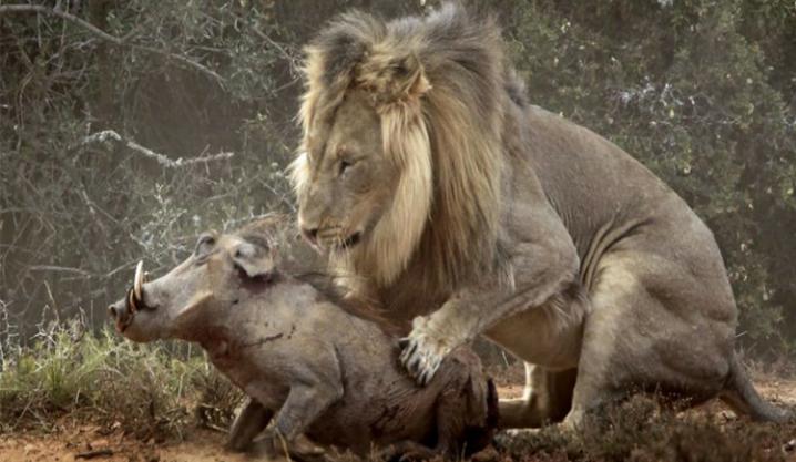 赚钱最多方法,赚钱最厉害的三个方法