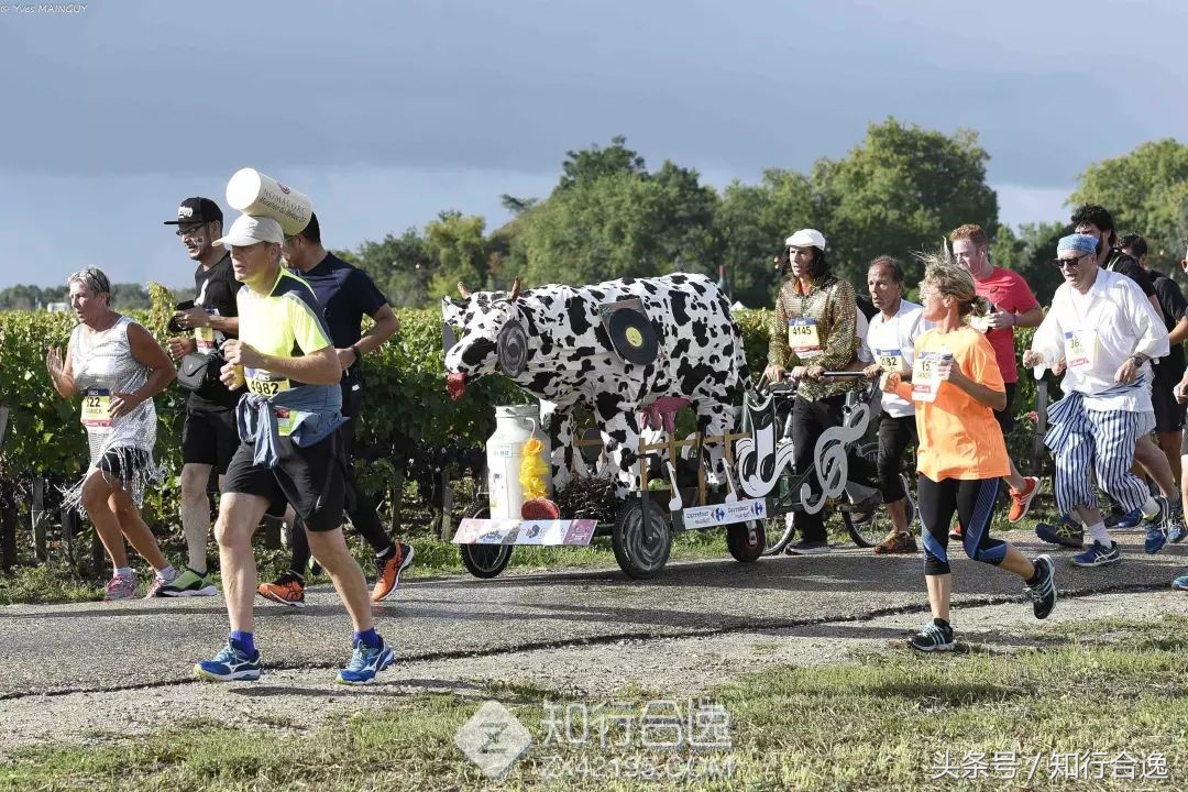波尔多马拉松感受,波尔多红酒马拉松报名