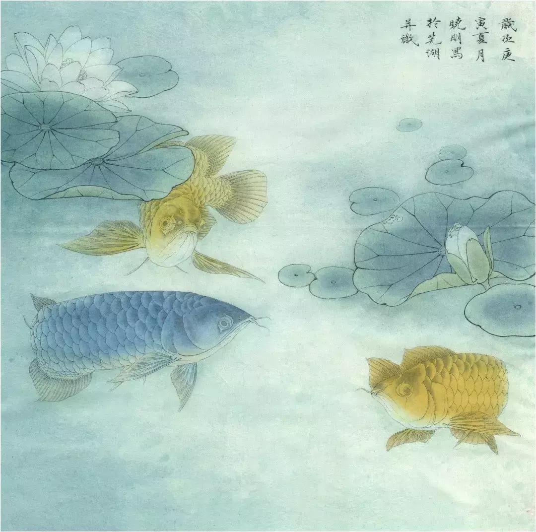 李晓明《睡莲金龙鱼》绘制步骤（含详细文字解析）