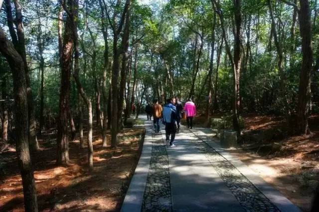 2018年浙江地方景点旅游日历大合集！含杭州，建德，温州，金华！