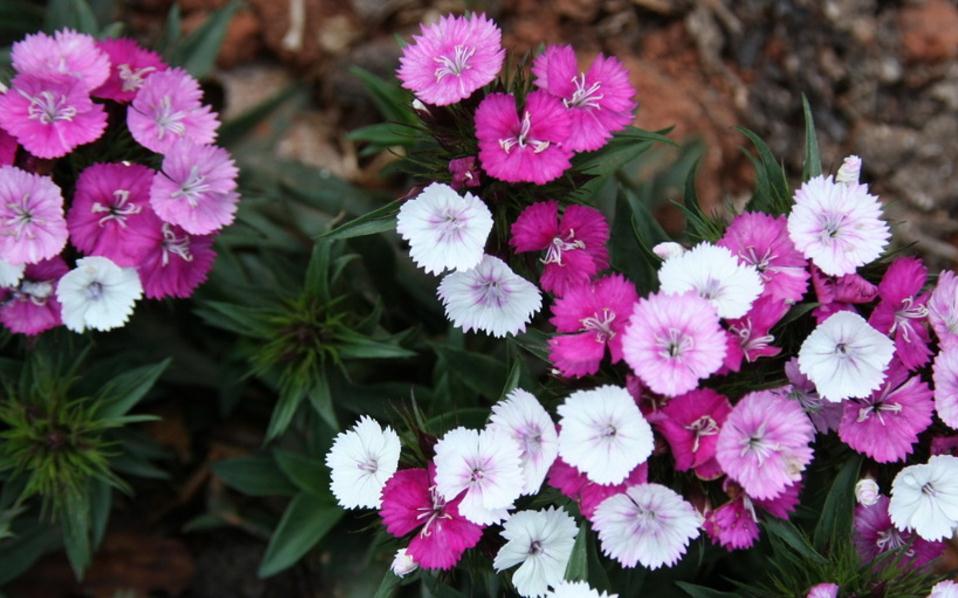 当你的人生陷入绝望,当你的人生遇到困境的时候