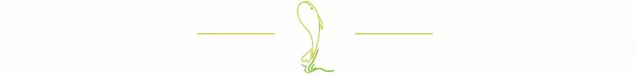 马来西亚过境签可以去哪,无攻略去马来西亚