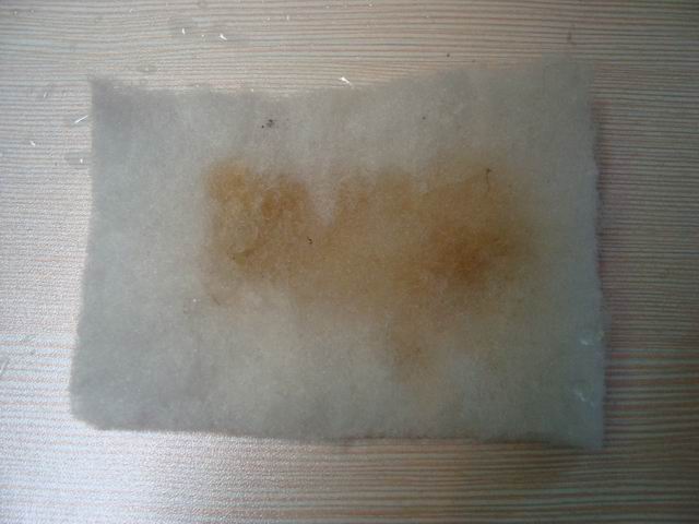 水草缸内怎样防治藻类生长,水草缸的藻类需要处理吗