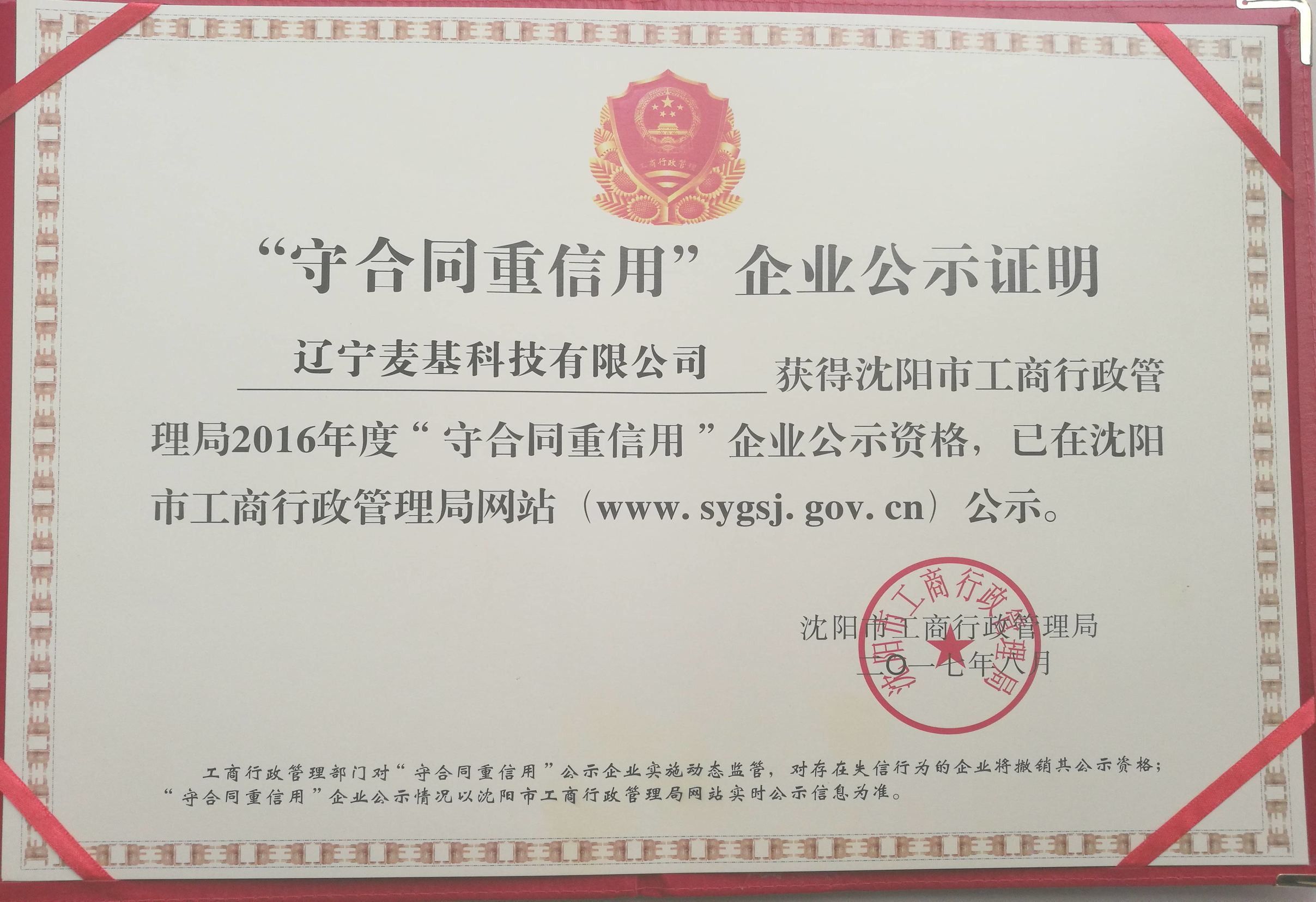 大众互联网电商平台,大众电商平台