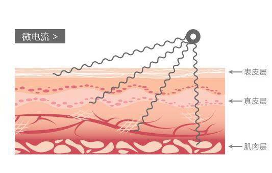 美容仪器大盘点!大排灯、射频仪真的有必要买吗?
