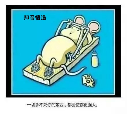 属鼠人2022年全年运势运程,李居明十二生肖属鼠运势