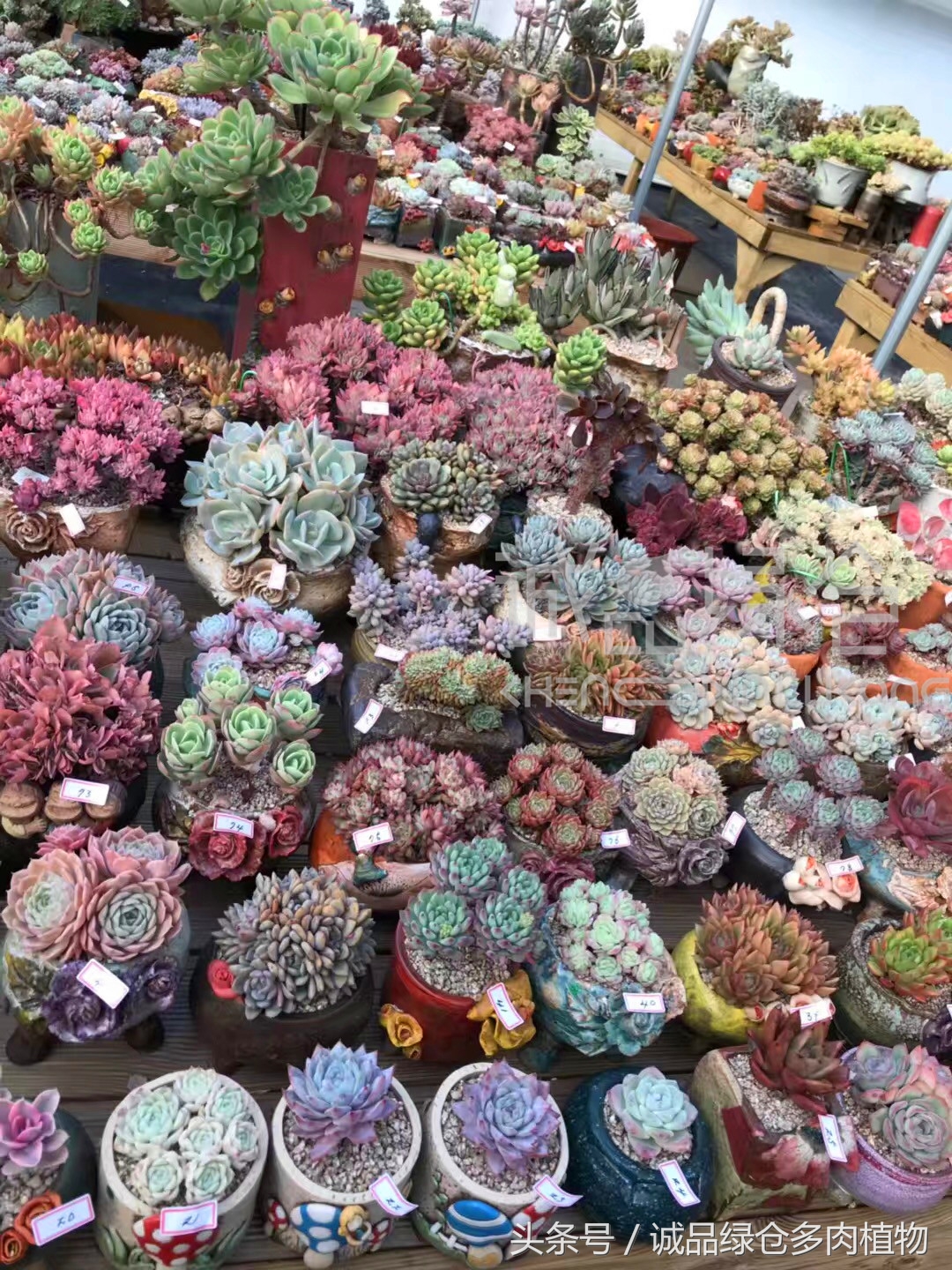 满足你对的所有幻想,满足你对生活所有的想象