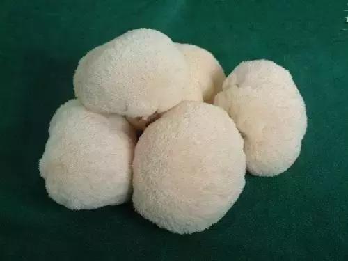 吉林特产享誉全国,吉林各地特产有哪些